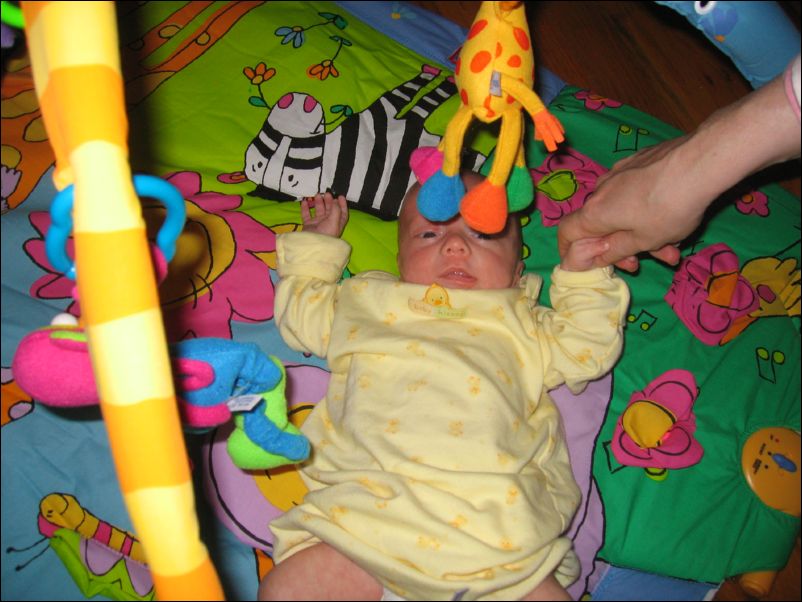 Owen & giraffe